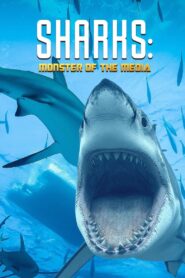 Sharks: Monster of the Media 2019 on netflix