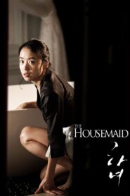 The Housemaid 2010 on netflix