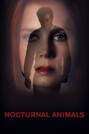 Nocturnal Animals 2016 on netflix