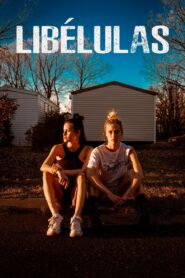 Dragonflies 2022 on netflix
