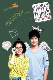 A Little Thing Called Love 2010 on netflix