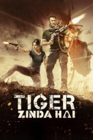 Tiger Zinda Hai 2017 on netflix