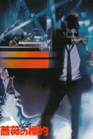Target 1980 on netflix