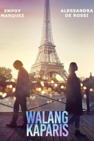 Nothing Like Paris 2023 on netflix