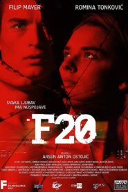 F20 2018 on netflix