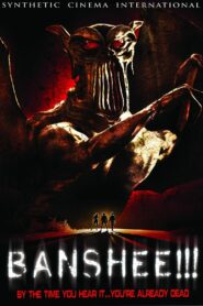 Banshee!!! 2008 on netflix