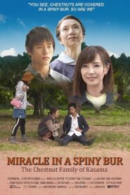 Miracle in Kasama 2018 on netflix
