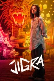 Jigra 2024 on netflix