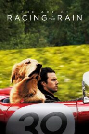 The Art of Racing in the Rain 2019 on netflix