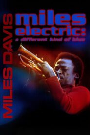 Miles Electric: A Different Kind of Blue 2004 on netflix