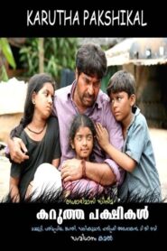 Karutha Pakshikal 2006 on netflix