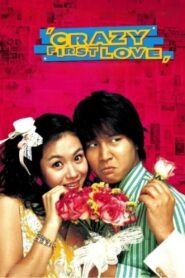 Crazy First Love 2003 on netflix