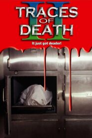 Traces Of Death II 1994 on netflix
