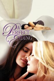 A Perfect Ending 2012 on netflix