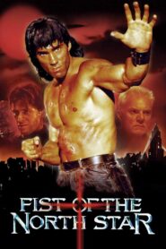 Fist of the North Star 1995 on netflix