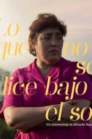 Lo Que No Se Dice Bajo El Sol 2017 on netflix