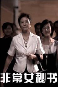 Unusual Secretary 2010 on netflix