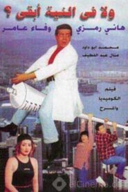 Never Crossed My Mind 1999 on netflix