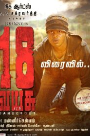 18 Vayasu 2012 on netflix