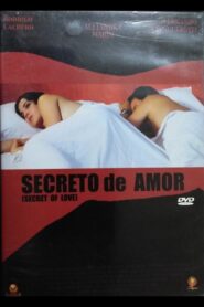 Secreto de amor 2005 on netflix