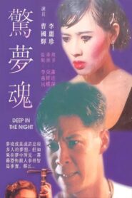 Deep in Night 1995 on netflix