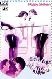 Happy Sixteen 1982 on netflix