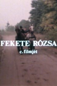 Fekete rózsa 1980 on netflix