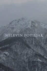 Mileva’s Nape 2015 on netflix