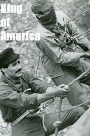 King of America 1982 on netflix