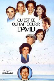 Qu’est-ce qui fait courir David ? 1982 on netflix