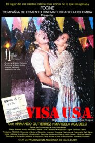Visa USA 1986 on netflix