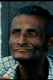 Memória da Vida e do Trabalho 1984 on netflix