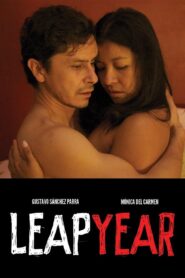 Leap Year 2010 on netflix