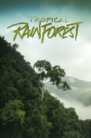 Tropical Rainforest 1992 on netflix