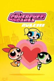 The Powerpuff Girls Rule!!! 2008 on netflix