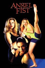 Angelfist 1993 on netflix