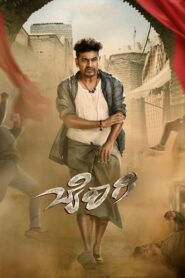 Bairagee 2022 on netflix