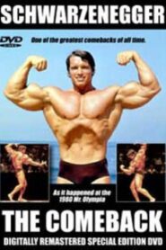 The Comeback 1980 on netflix