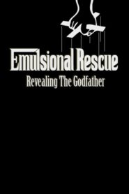 Emulsional Rescue: Revealing ‘The Godfather’ 2008 on netflix