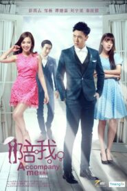 Accompany Me 2015 on netflix