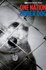One Nation Under Dog 2012 on netflix