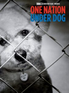 One Nation Under Dog 2012 on netflix