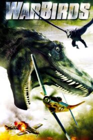 Warbirds 2008 on netflix