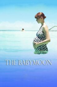The Babymoon 2017 on netflix