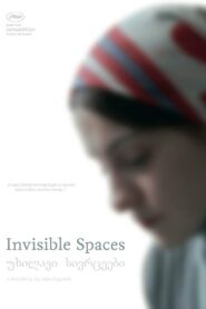 Invisible Spaces 2014 on netflix