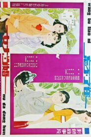 女大当婚 1982 on netflix