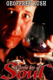 A Little Bit of Soul 1998 on netflix