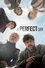A Perfect Day 2015 on netflix