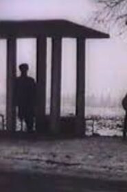Bus Stop 1995 on netflix