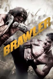 Brawler 2011 on netflix